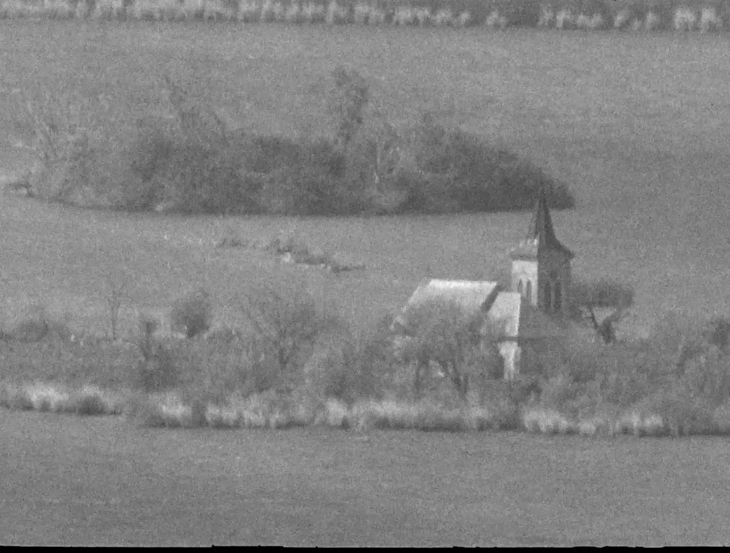 Pták Rybák — záběr z filmu