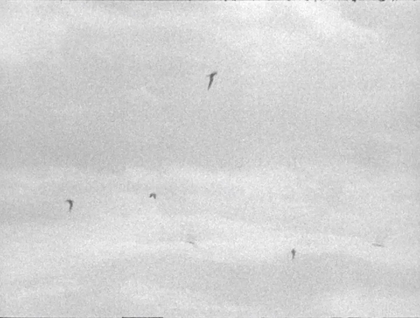 Pták Rybák — záběr z natáčení na 16mm